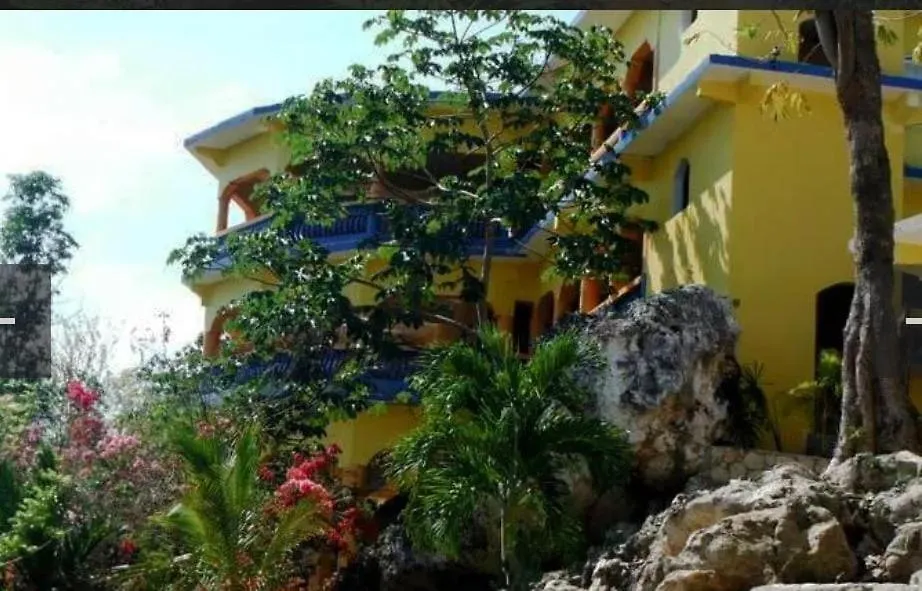 Hayley'S Paradise Limited Little Bay Apartment